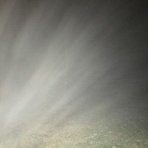 Meet your Posher, Landon